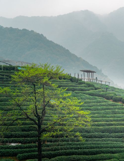fini le stress avec pascale combes beziers