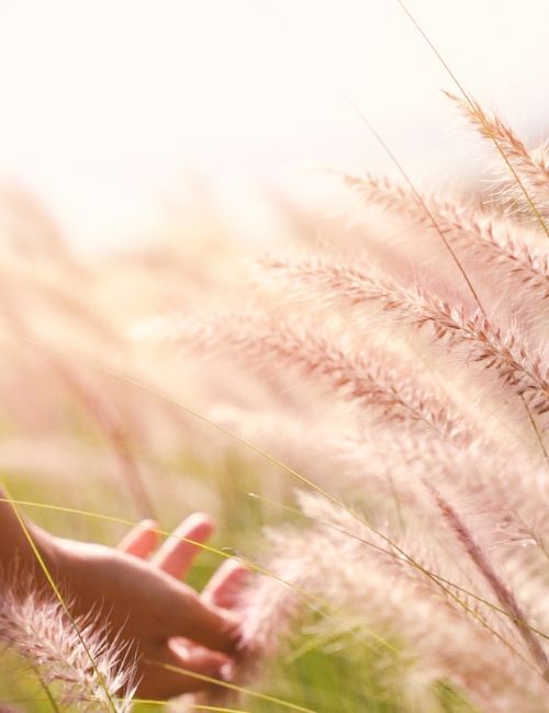 pascale combes bien etre a beziers