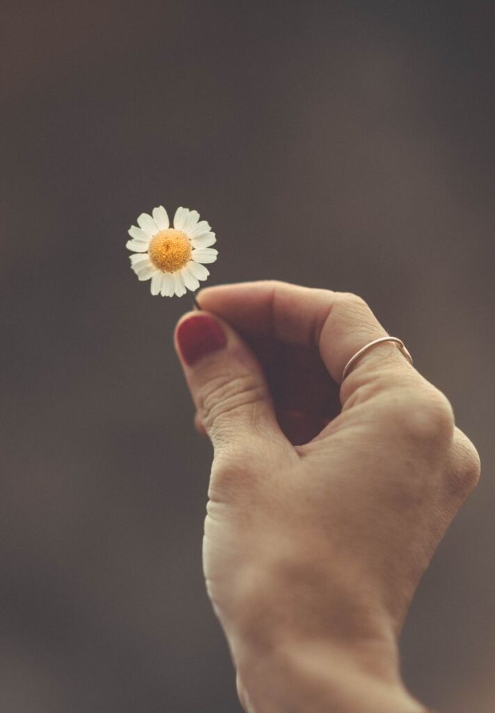 programme calea pour femmes épuisées pascale combes beziers
