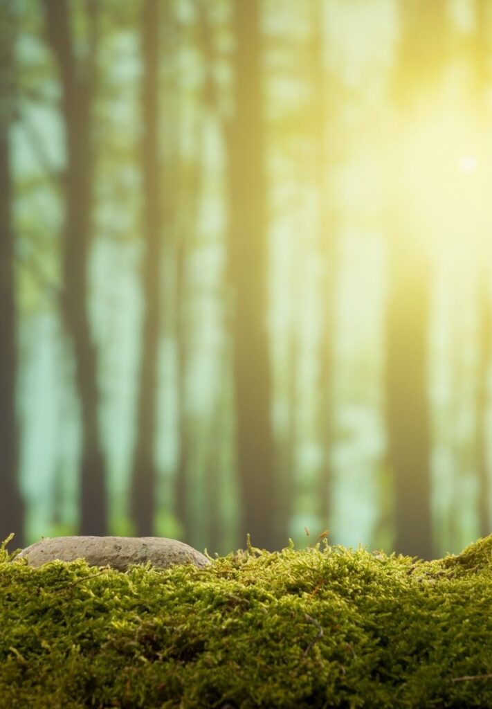 programme calea pour femmes épuisées pascale combes beziers